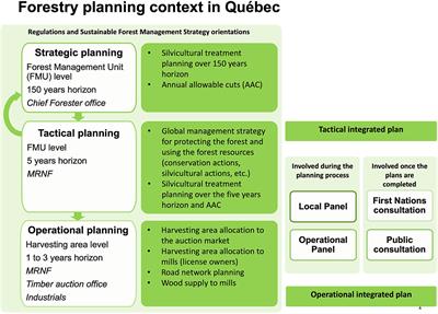 Embracing sustainability in public-owned forest resources management: Lessons learned and perspectives